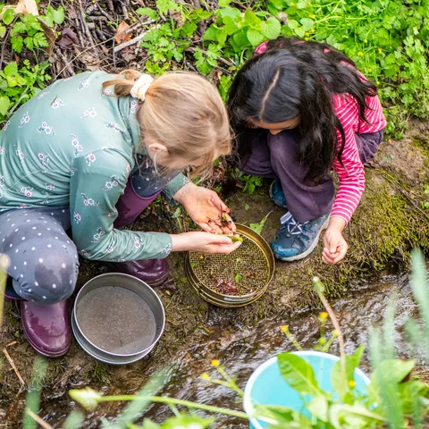 Zwei Kinder knien an einem kleinen Bach inmitten von grüner Vegetation und untersuchen mit einem Sieb und ihren Händen die gesammelten Wasserproben. Sie tragen wetterfeste Kleidung, darunter Gummistiefel und Outdoor-Kleidung, und arbeiten gemeinsam an einer naturwissenschaftlichen Untersuchung.